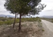 Non-developable land for sale on España, La Nucia, ref: TR244366 photo