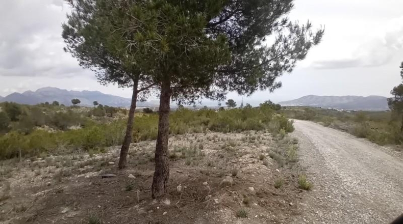 Alicante - La Nucía - 43450m2