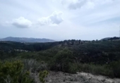 Non-developable land for sale on España, La Nucia, ref: TR244366 photo