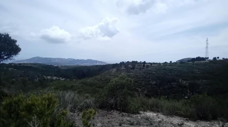 Alicante - La Nucía - 43450m2