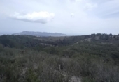 Non-developable land for sale on España, La Nucia, ref: TR244366 photo