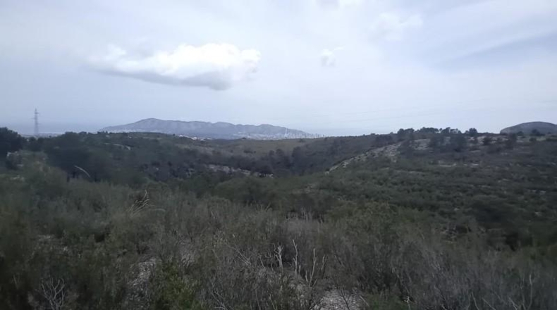 Alicante - La Nucía - 43450m2
