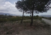 Non-developable land for sale on España, La Nucia, ref: TR244366 photo