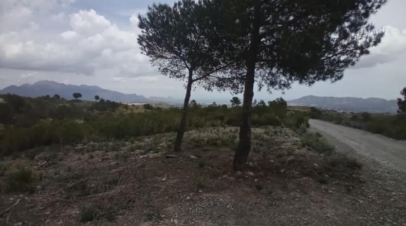 Alicante - La Nucía - 43450m2
