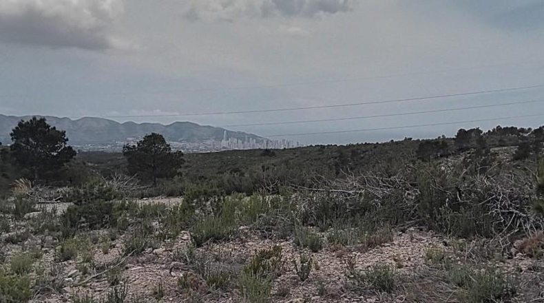Alicante - La Nucía - 43450m2
