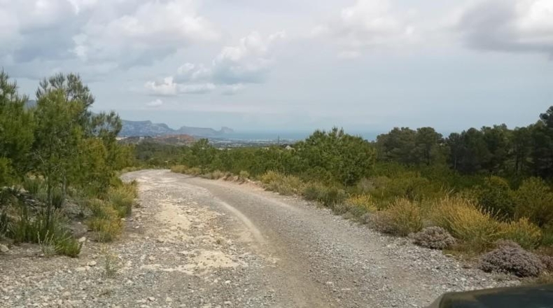 Alicante - La Nucía - 43450m2