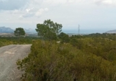 Non-developable land for sale on España, La Nucia, ref: TR244366 photo