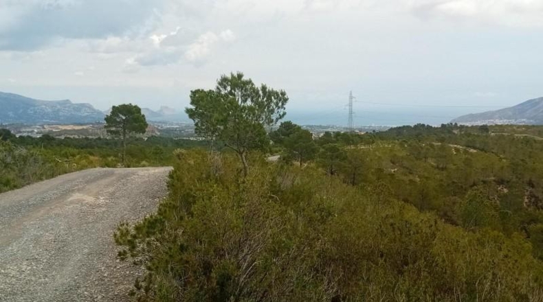 Alicante - La Nucía - 43450m2