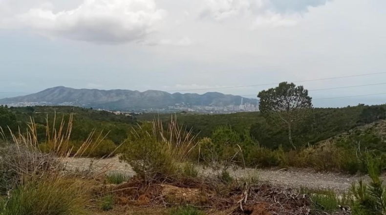 Alicante - La Nucía - 43450m2