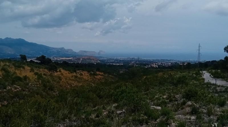 Alicante - La Nucía - 43450m2