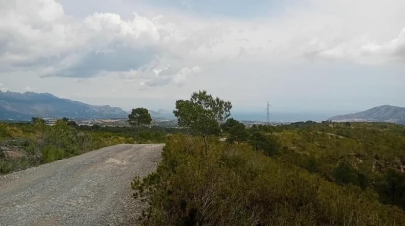 Alicante - La Nucía - 43450m2