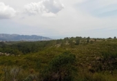Non-developable land for sale on España, La Nucia, ref: TR244366 photo