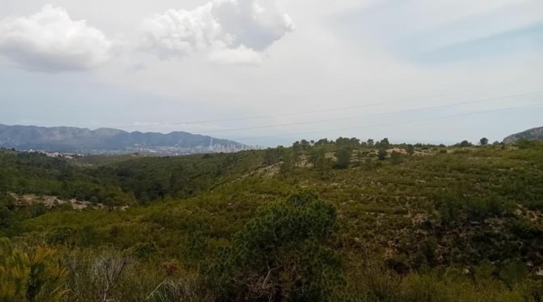 Alicante - La Nucía - 43450m2