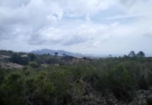 Non-developable land for sale on España, La Nucia, ref: TR244366 photo