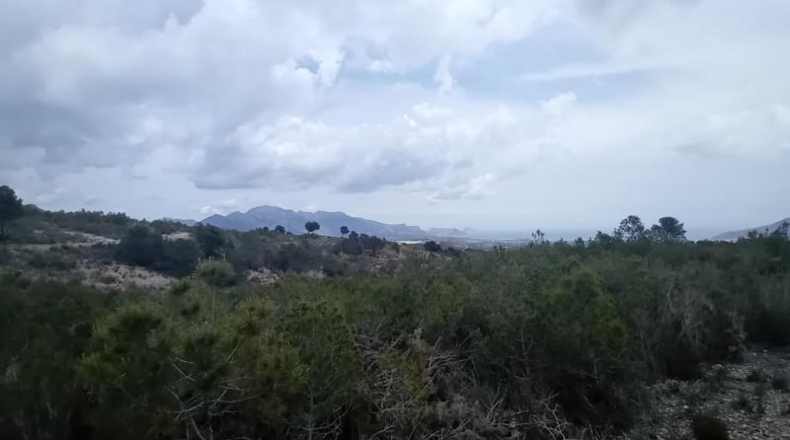 Alicante - La Nucía - 43450m2