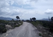 Non-developable land for sale on España, La Nucia, ref: TR244366 photo