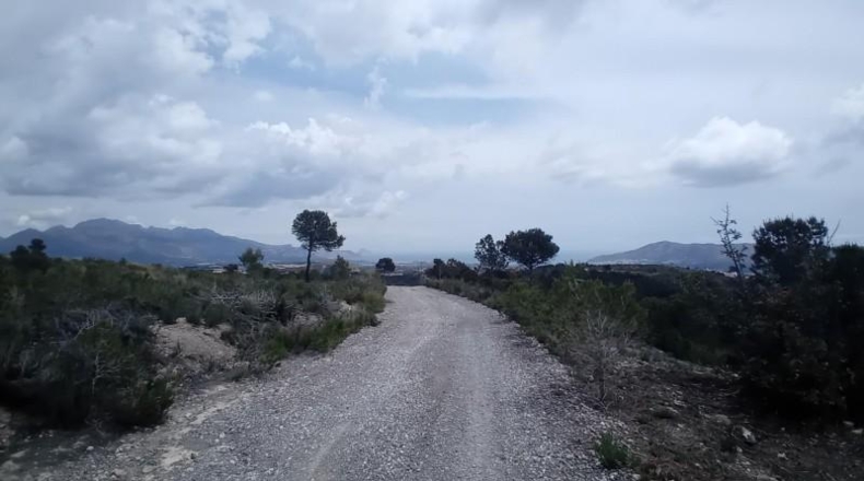 Alicante - La Nucía - 43450m2
