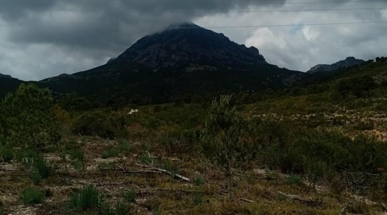 Alicante - La Nucía - 43450m2