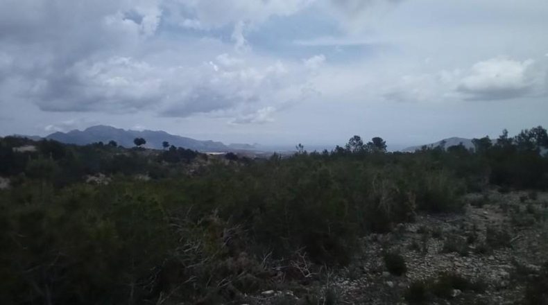 Alicante - La Nucía - 43450m2