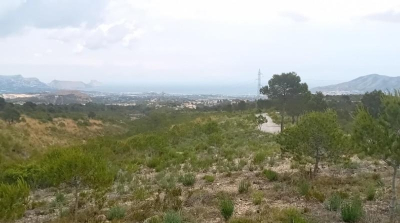 Alicante - La Nucía - 43450m2