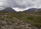 Non-developable land for sale on España, La Nucia, ref: TR244366 photo