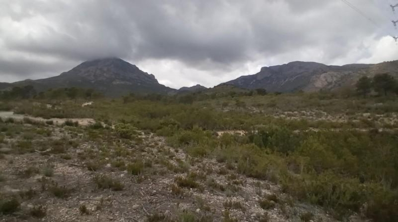 Alicante - La Nucía - 43450m2
