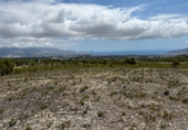 Non-developable land for sale on España, La Nucia, ref: TR244366 photo