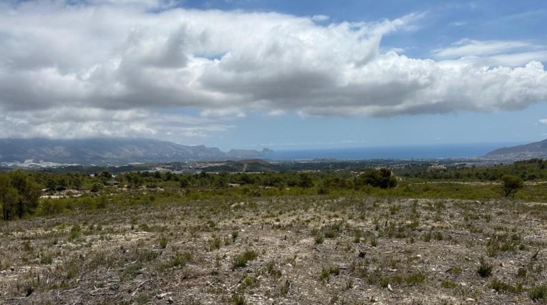 Alicante - La Nucía - 43450m2