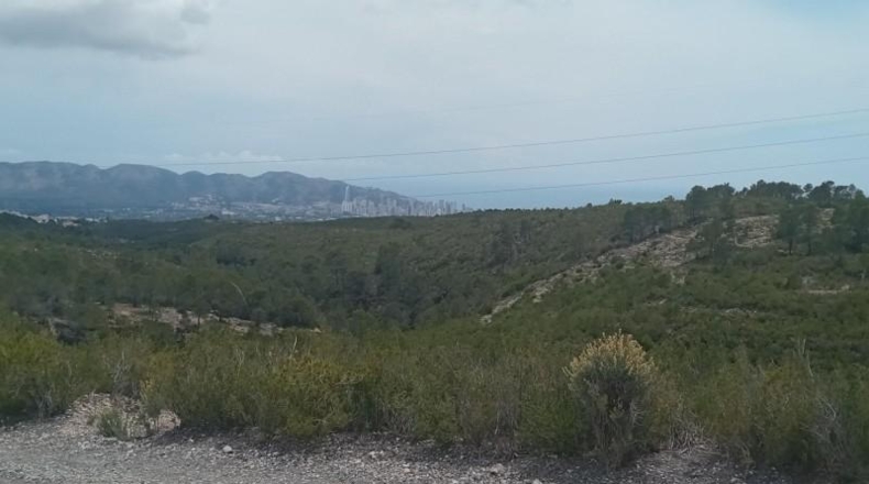 Alicante - La Nucía - 43450m2
