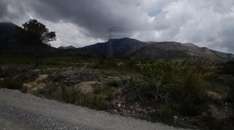 Alicante - La Nucía - 43450m2