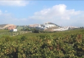 Casa de camp amb terreny en venda a la España, Casares, ref.: TR381365 foto