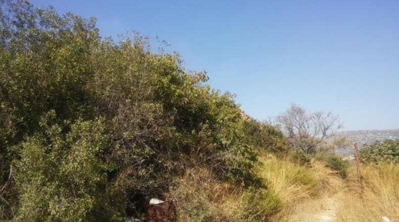 Málaga - Casares - 30000m2