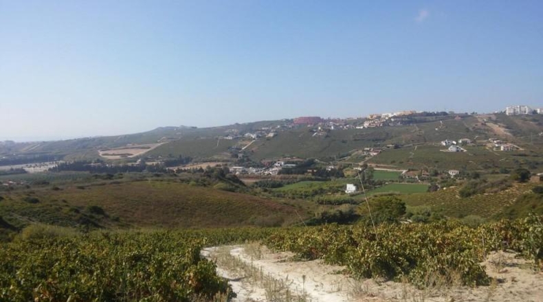 Málaga - Casares - 30000m2