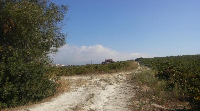 Málaga - Casares - 30000m2