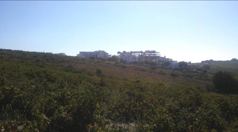 Málaga - Casares - 30000m2