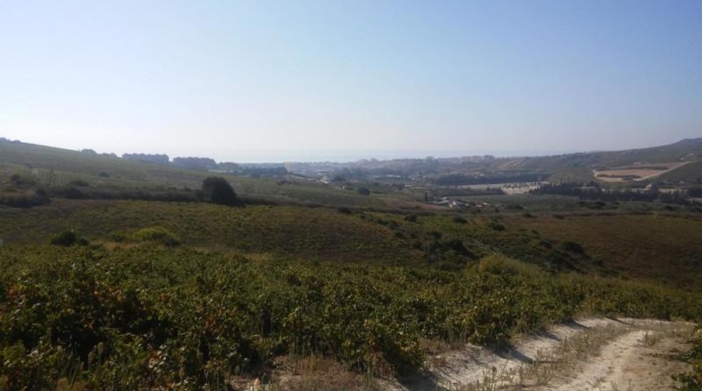 Málaga - Casares - 30000m2