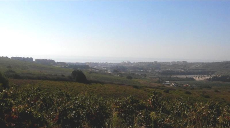 Málaga - Casares - 30000m2