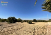 Chalet independiente con terreno en venta en la España, Lorca, ref: TR149847 foto