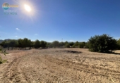 Chalet independiente con terreno en venta en la España, Lorca, ref: TR149847 foto