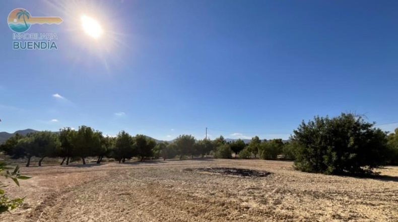 Murcia - Mazarrón - 10000m2