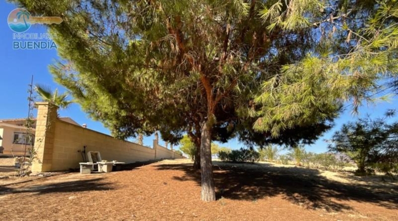 Murcia - Mazarrón - 10000m2