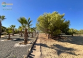 Chalet independiente con terreno en venta en la España, Lorca, ref: TR149847 foto