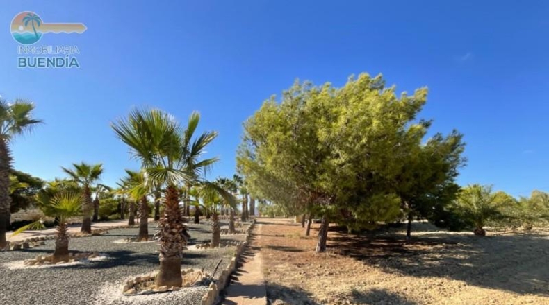 Murcia - Mazarrón - 10000m2