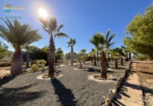 Chalet independiente con terreno en venta en la España, Lorca, ref: TR149847 foto