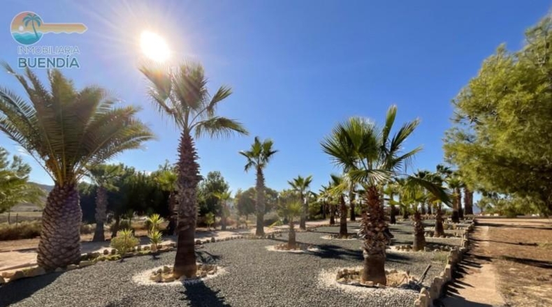 Murcia - Mazarrón - 10000m2