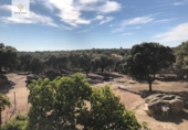 Terreno no urbanizable en venta en la España, Torreorgaz, ref: TR124436 foto