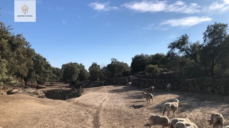 Cáceres - Torreorgaz - 50000m2