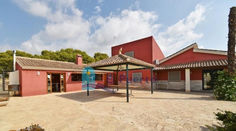 Murcia - Totana - 9090m2
