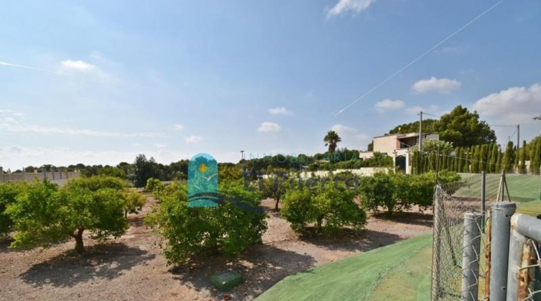 Murcia - Totana - 9090m2