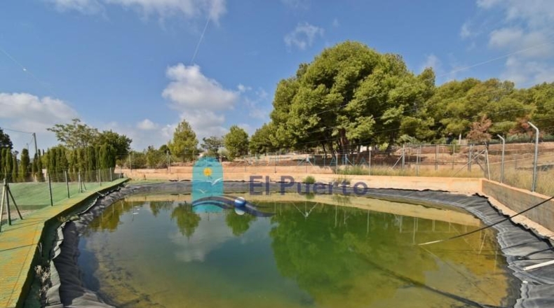 Murcia - Totana - 9090m2